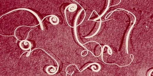 photo de parasites du corps humain