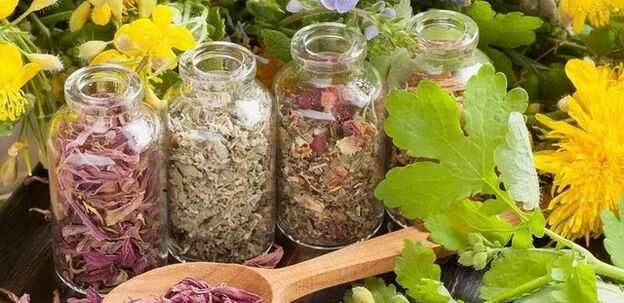 herbes pour nettoyer le corps des parasites