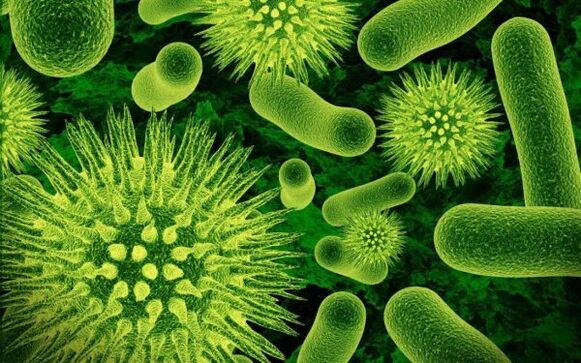 parasites humains nocifs